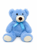 Blue Teddy Bear