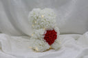 Snow with Heart Bear with Light - 25cm