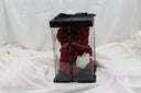 Scarlet with White Heart Bear - 25cm