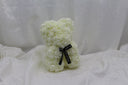 Ivory Bear - 25cm