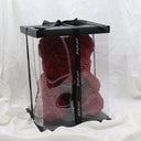 Large Scarlet Bear - 40cm