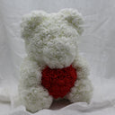 Large Snow with Heart Bear - 40cm