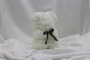 Snow Bear - 25cm
