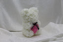 Snow Bear with Pink Heart Bear-25cm