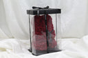 Scarlet Bear - 25cm