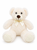 White Teddy Bear