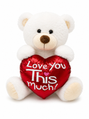 White Romance Bear